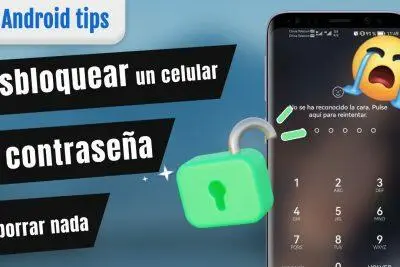 Desbloqueo de un teléfono Android ZTE: la pantalla muestra que el reconocimiento facial falló y solicita el ingreso de contraseña.